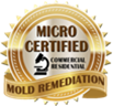 Wall Township kitchen basement mold removal testing and remediation services in 07719