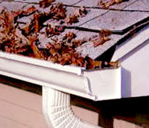 Union County attic bathroom mold inspection and testing services being carried out in Clark NJ 08077