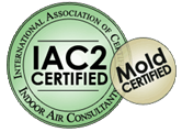 Clark NJ kitchen attic black mold remediation and removal service company project 08077