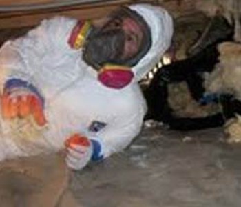 crawl space ceiling mold removal and inspection being performed in Farmingdale NJ 07727 residence